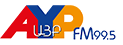 Radio AYP FM